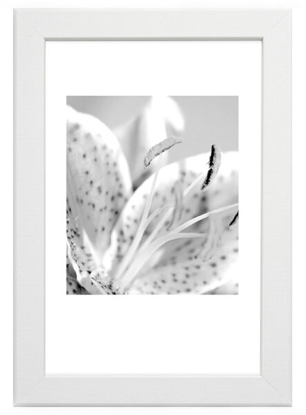 Pildiraam Trendline White 40x60cm
